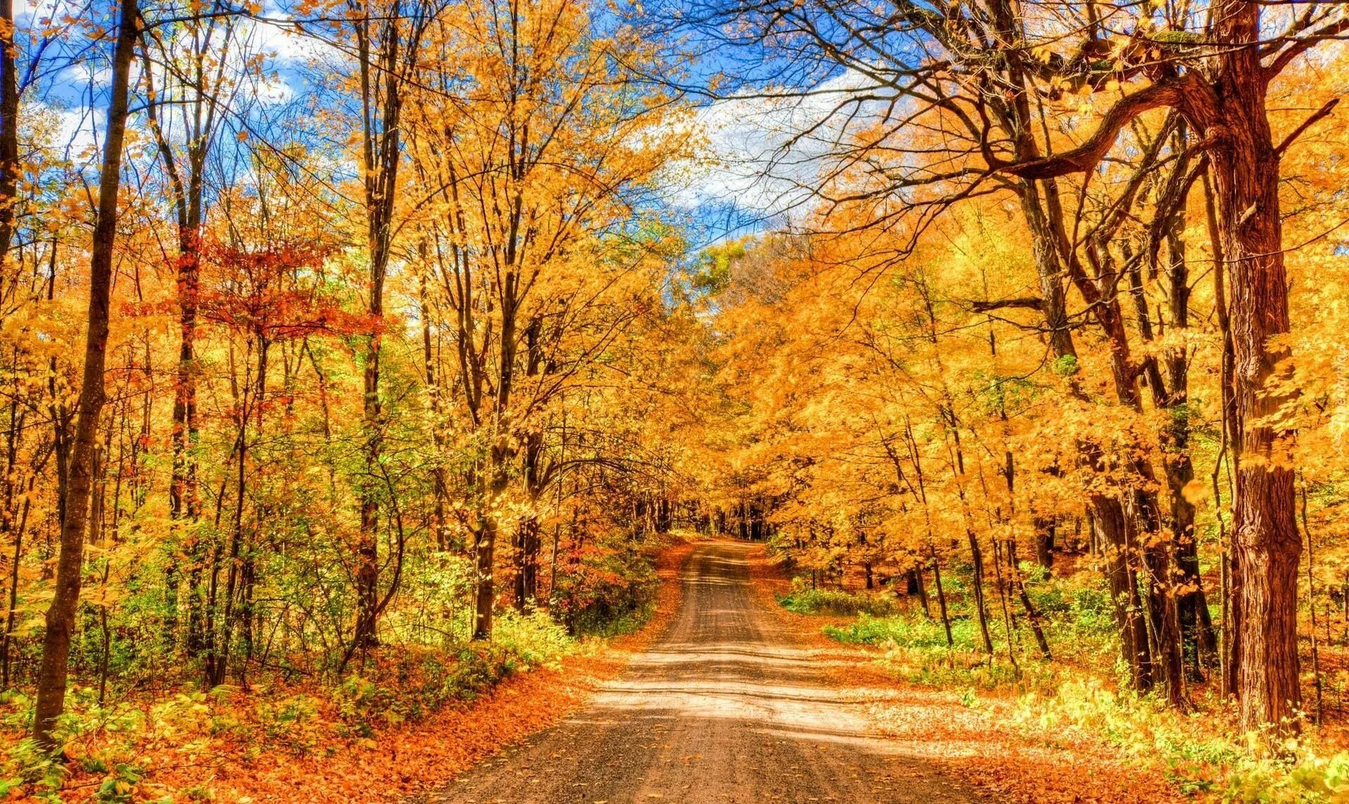 Октябрь - очей очарование. Чудеса осени. С добрым осенним утром пятницы. Листопад фото. Стиль осенний ветер.