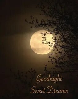 Goodnight moon