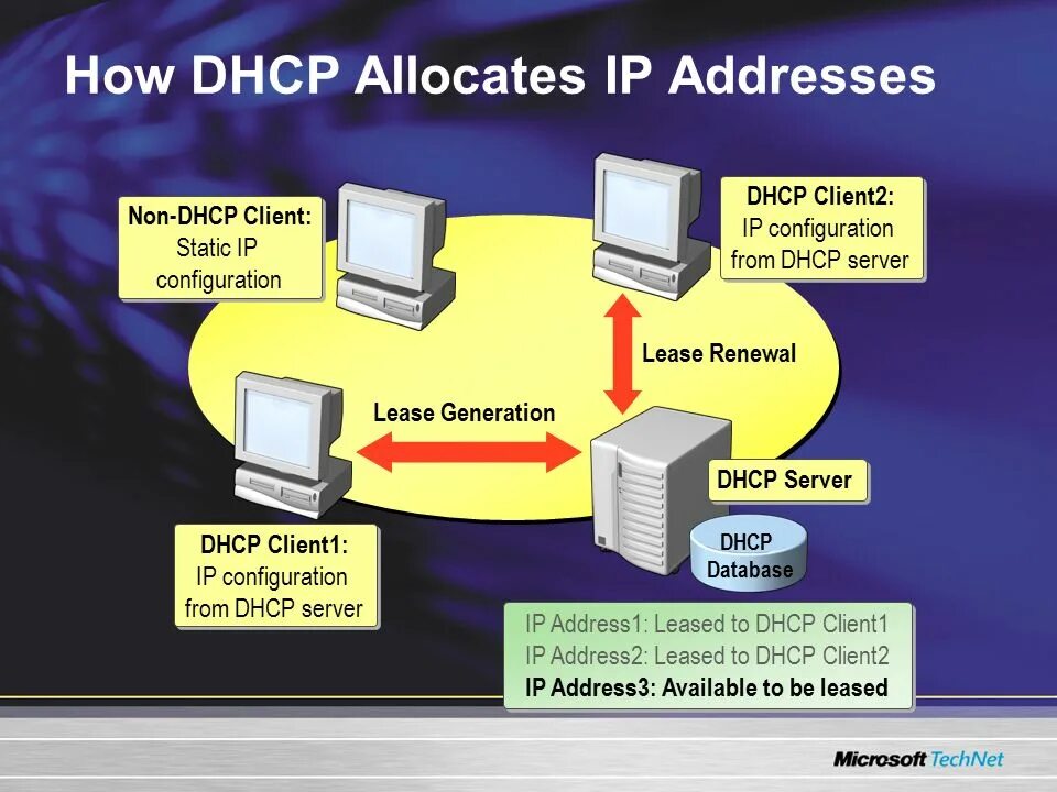 Служба DHCP. DHCP сервер. DHCP клиент. DHCP принцип работы. Client 2 client