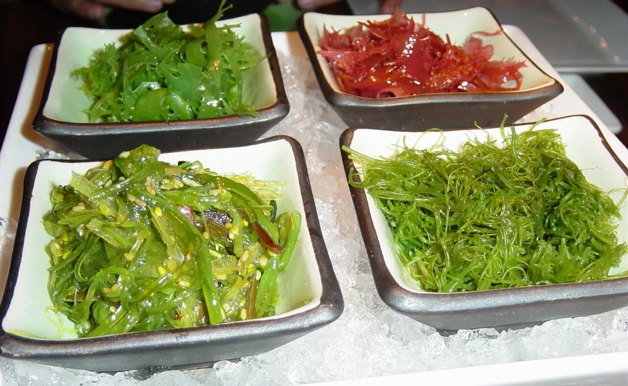 Вкус водорослей. Морская капуста вакамэ. Зеленые водоросли вакаме. Морская капуста ламинария. Уми Будо водоросли.