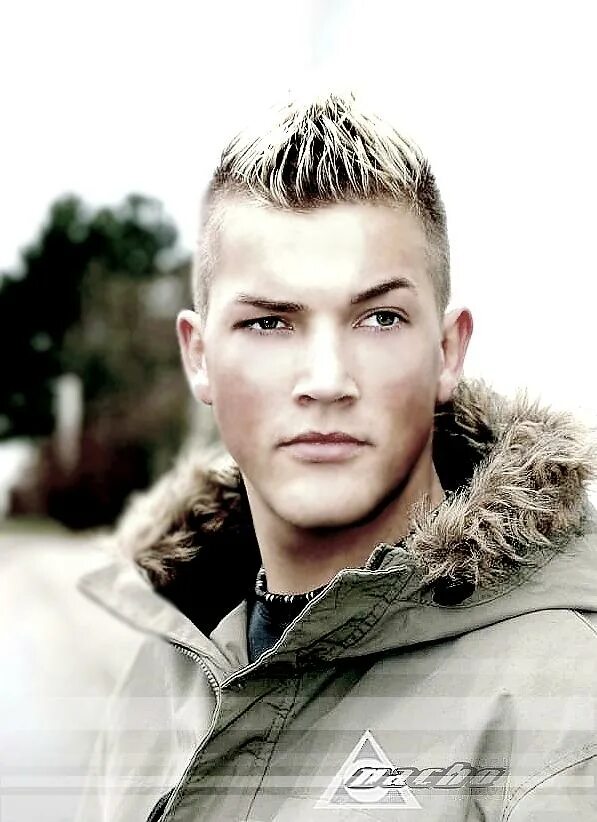 Van shield. Bastian van shield the empire (the remixes). Bastian van shield. обложка bastian van shield. ван шилд бастиан with dust.