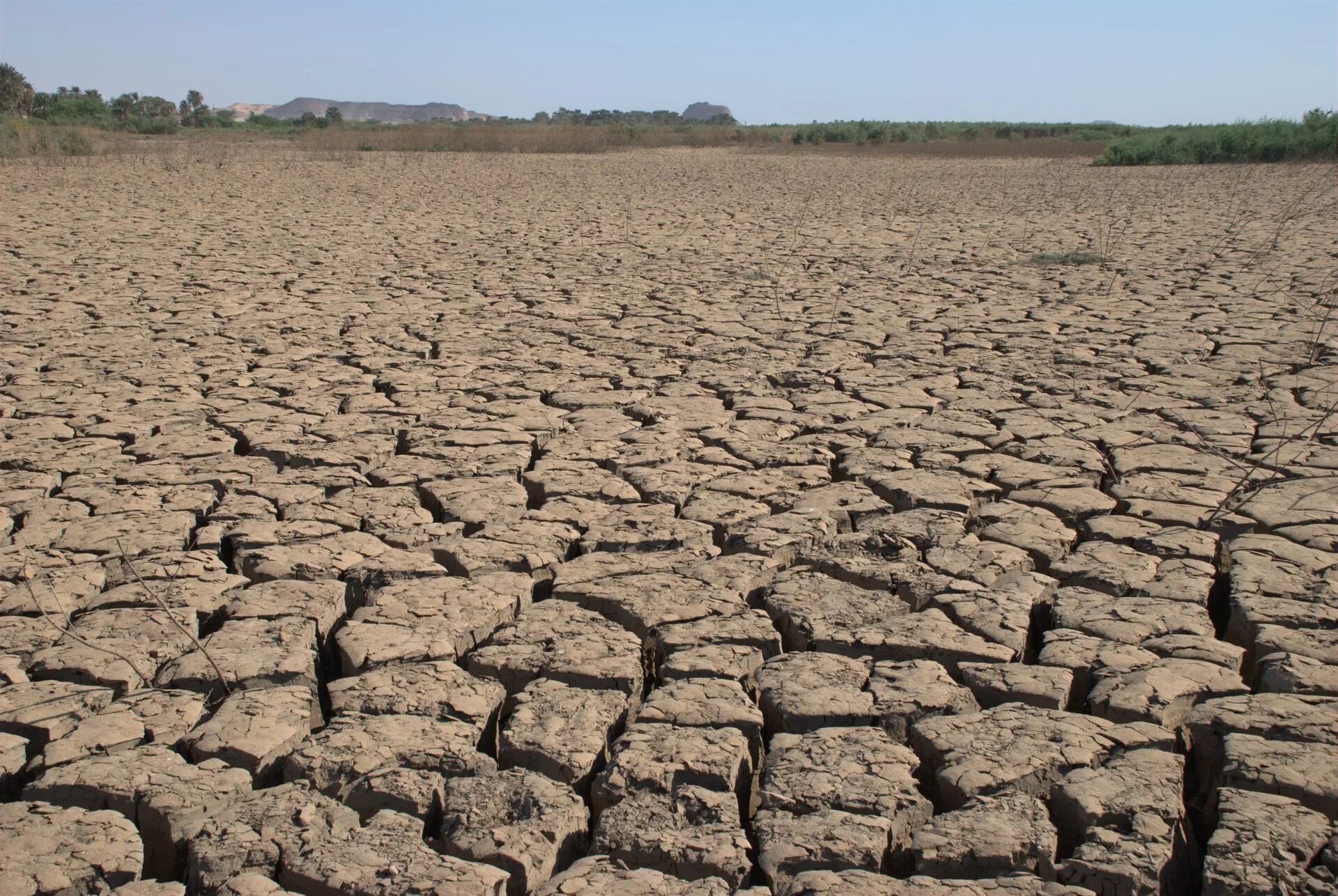 Ил почва. Торф и сапропель. Торф и сапропель. Silt soil. Торф и сапропель.