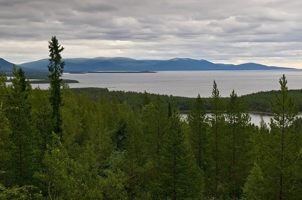 Река ангара красноярский край. Реликтовый ельник байкала. Национальный парк кенай-фьордс. Горно таежные реки красноярск. Лес тайга сибирь вид сверху.