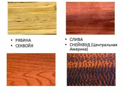 Рябина древесина