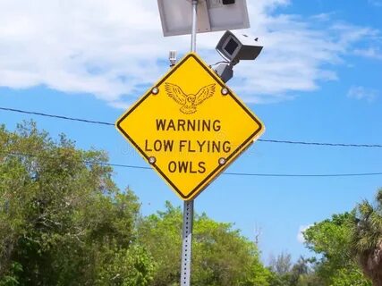 Warning low