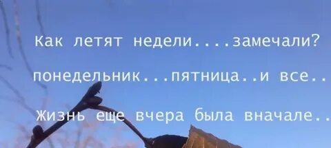 Годы жизни пролетают