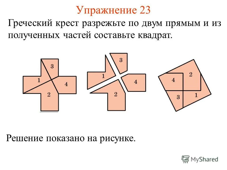 Внешнее строение ракообразных. Анатомия перевод. Ароморфозы кольчатых червей червей. Расчленение тела на равные сегменты. Ароморфоз червей плоских круглых кольчатых червей.