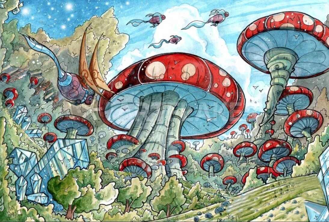 Drawn world