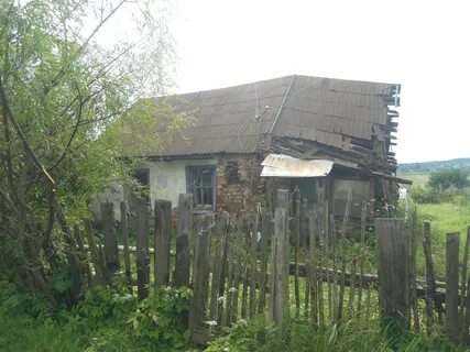 Деревня митино