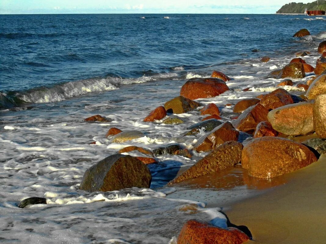 Берег финского залива репино. На балтийском морском берегу. На балтийском морском берегу. На балтийском морском берегу. Балтийский берег калининград.