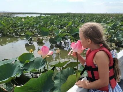 Долина лотосов как добраться