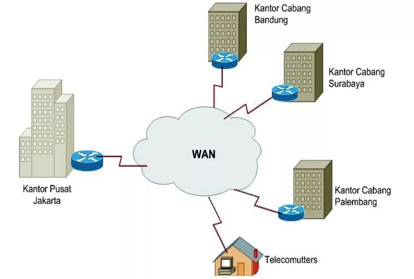 Wan перевод