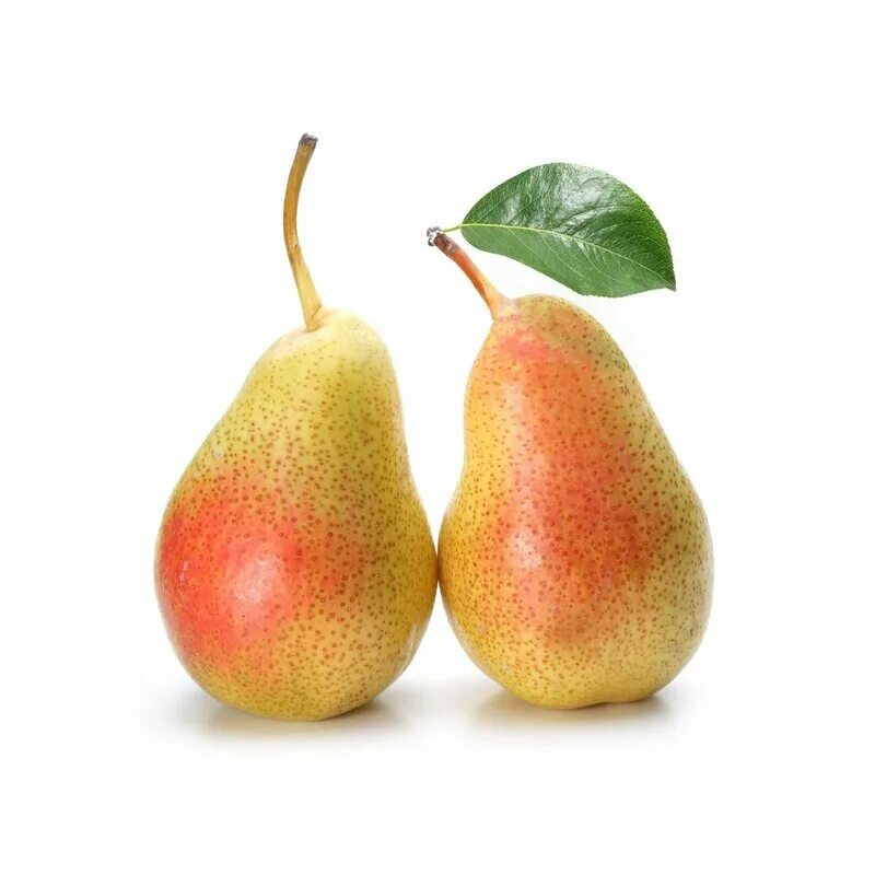 груша крупноплодная сусова. груша ж. груша вильямс. груша ж. груша бессемянка.