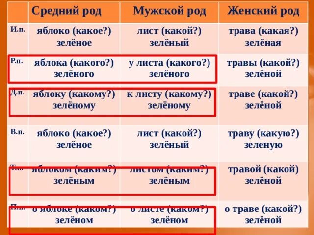 Что такое мужской род. Яблоко какой род. Мужской род тебе или тебя. Зелёное какой род. Листья какой род.