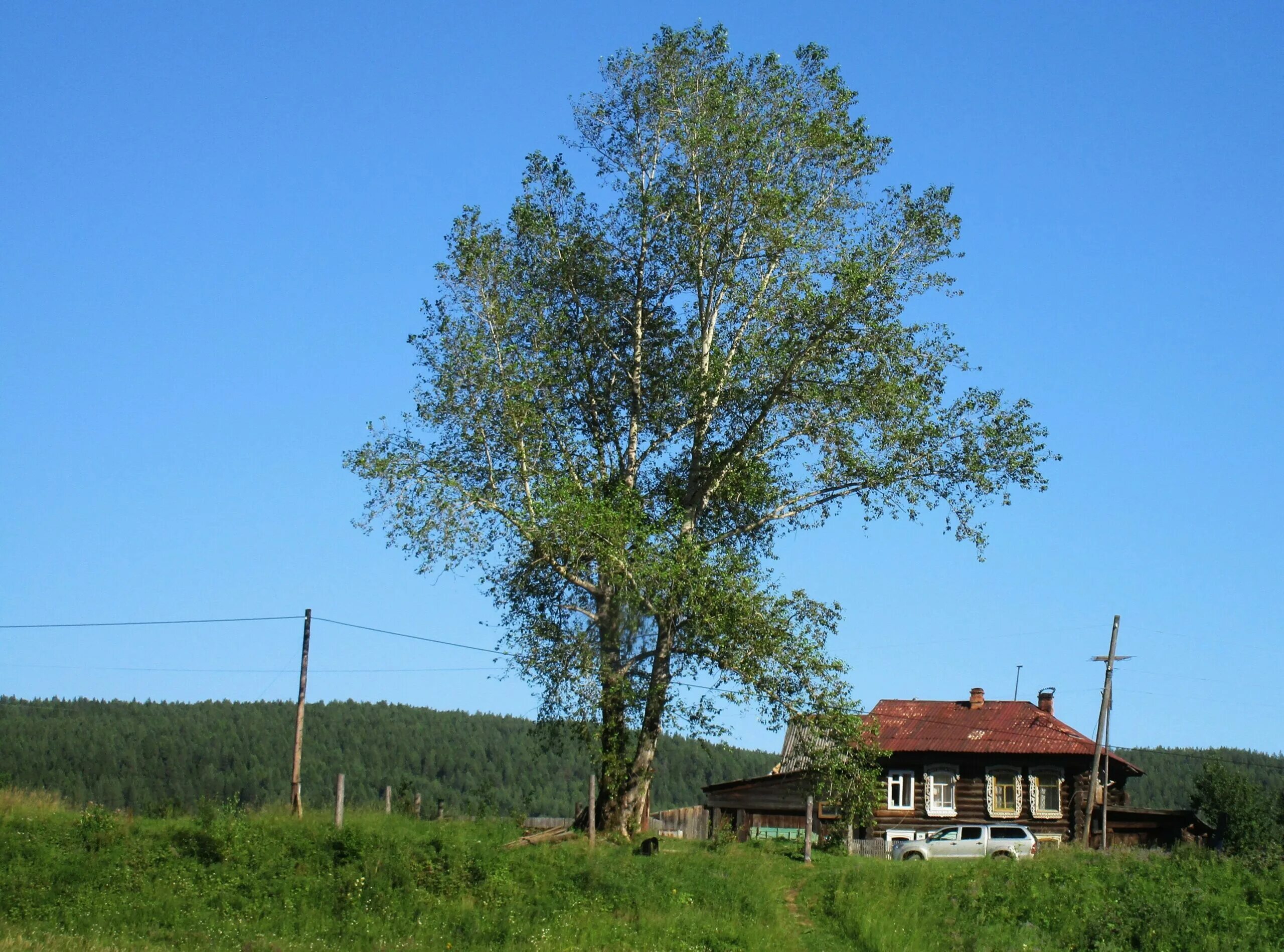 Погода в верхней ослянке