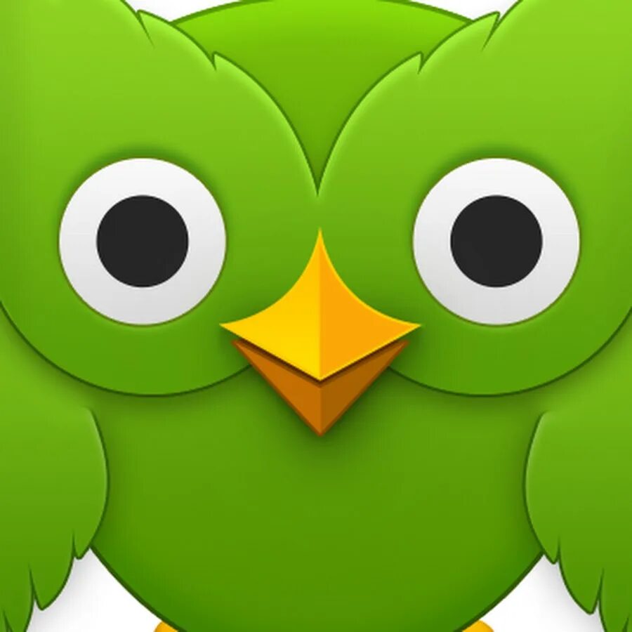 Duolingo учим. Совенок Дуолинго. Duolingo зелёная Сова. Duolingo зеленый совёнок. Сова из Duolingo.