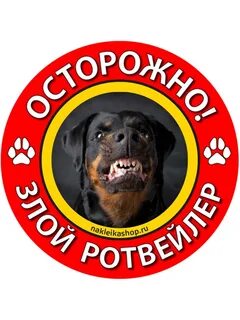 Собаки надписи