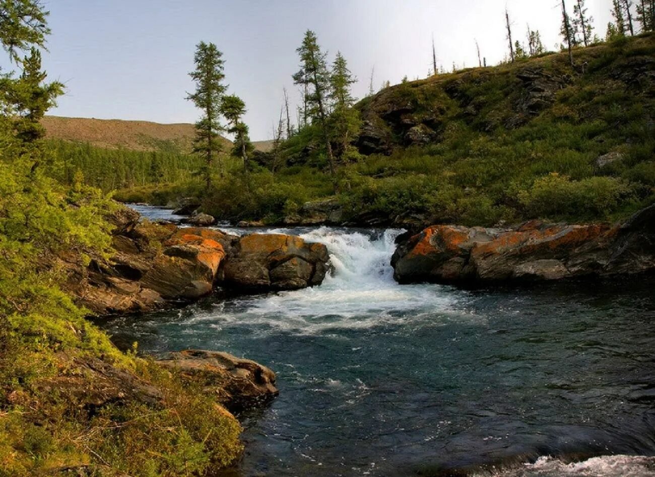 Сам рек. Верховья реки Лена. Исток реки Лена. Исток Киренги. Байкальский Ленский заповедник.