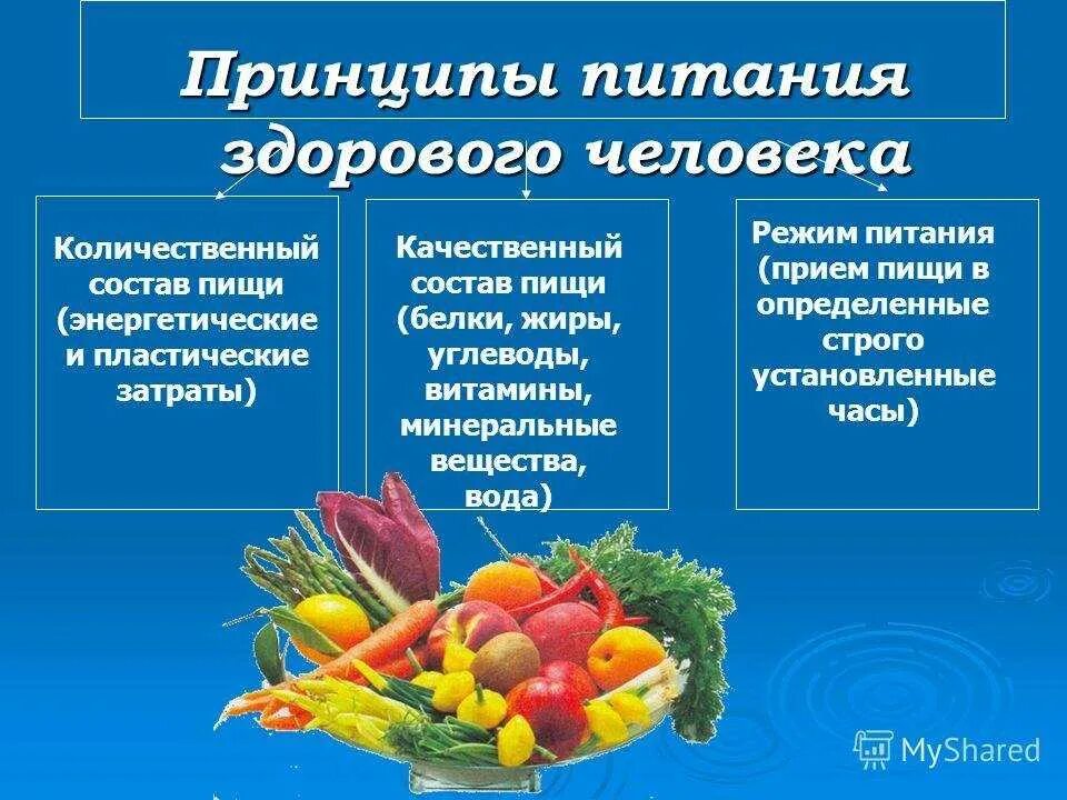 Почему витамины нельзя отнести к питательным веществам