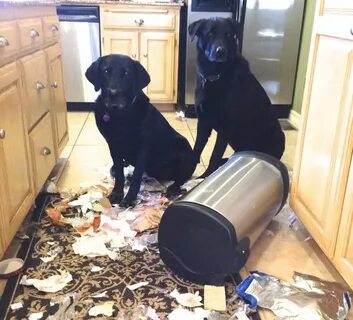 Getting into trouble