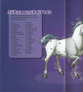 Starshine project