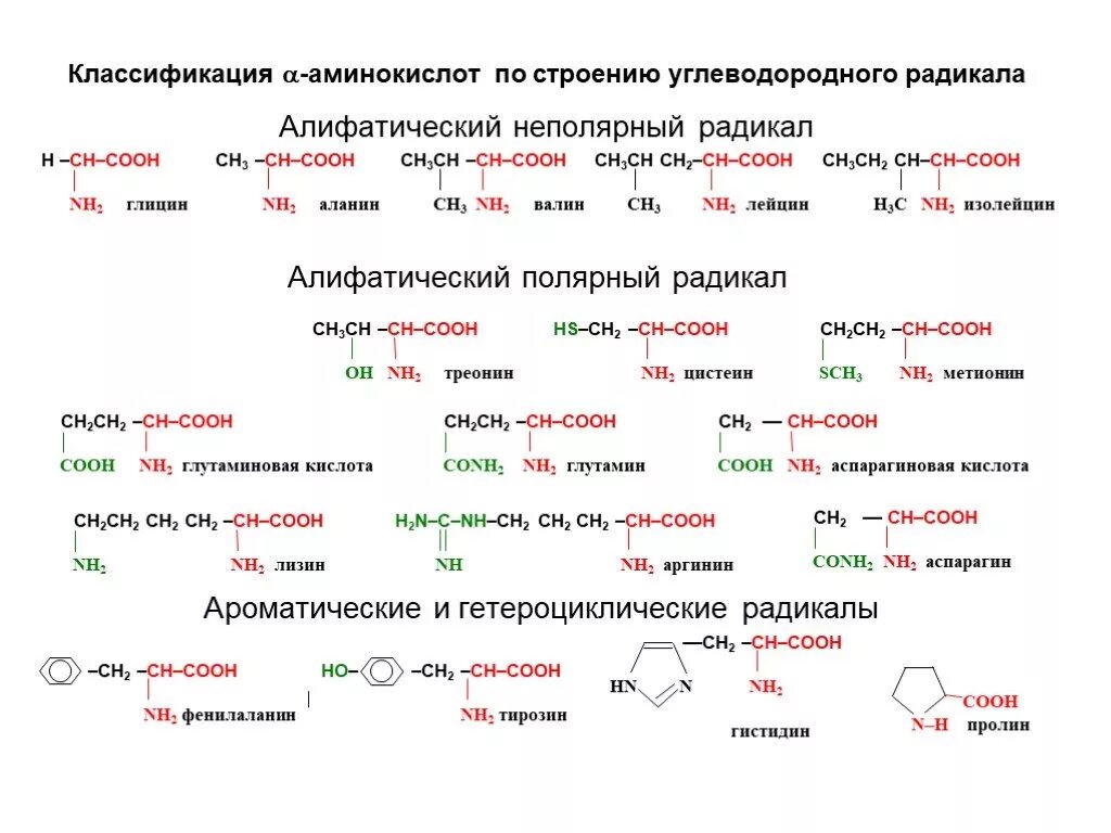 Аминокислоты строение и классификация. Классификация аминокислот алифатические ароматические. Классификация 20 аминокислот биохимия. Структурная классификация аминокислот. Радикал значение