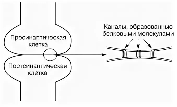 Наличие канал