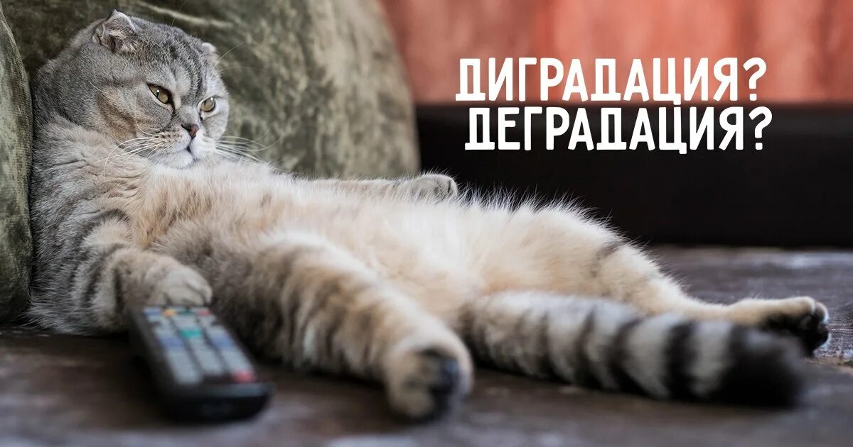 Лень рисунок. Доброе утро лень вставать. В жизни главное не лениться захотел поспать поспи. В жизни главное не лениться. Ленивого не дождешься.