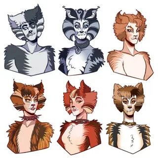 Главные герои кошки