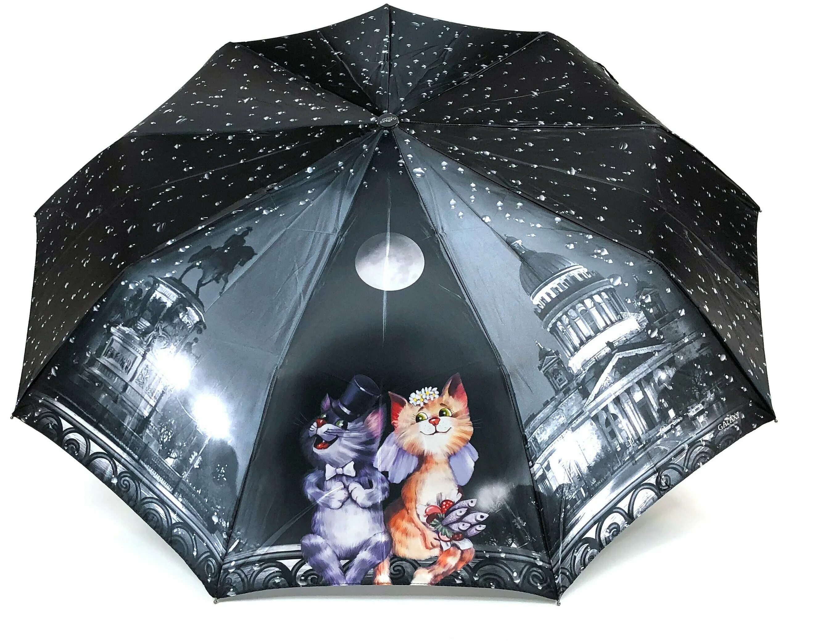 Rexant кот с зонтом. Проспект чечни кот зонтики фото. Котик под зонтиком. Зонт с котами. Под зонтиком.