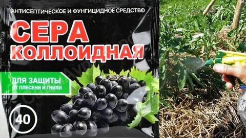 Коллоидная сера для гортензии