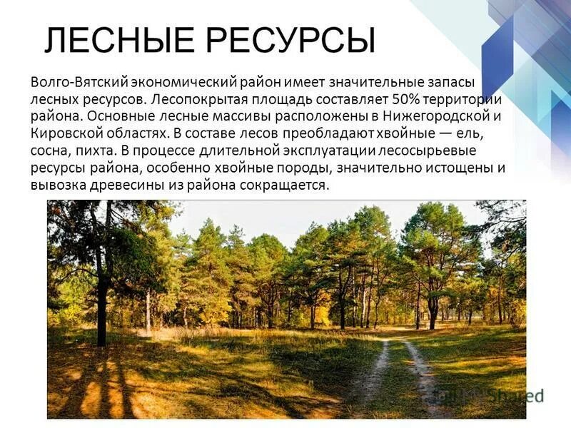 волго вятский ресурсы. волго-вятский экономический район природные ресурсы на карте. волго вятский ресурсы. волго-вятский экономический район ресурсы. волго вятский ресурсы.