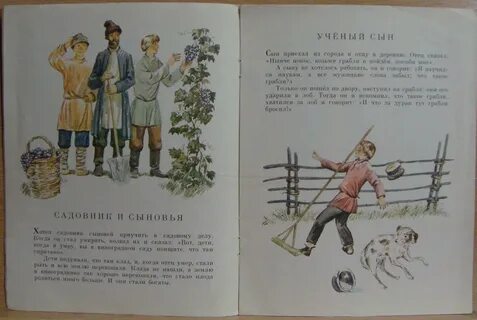 Ему сказали зачем тебе яблони