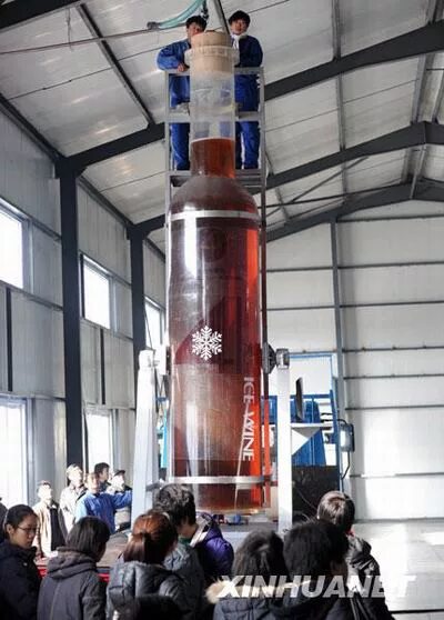 Огромная бутылка. Большие бутылки. Гигантская бутылка. Самая большая бутылка в мире. Самая большая бутылка в мире.
