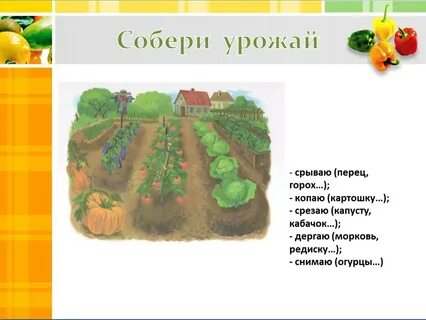 Овощи презентация 1 класс