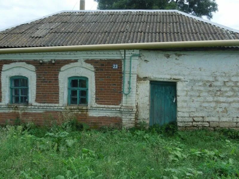 Бутырки задонский район. Деревня Панарино Задонский район. Малое Панарино Липецкая область. Задонск Малое Панарино. Село большое Панарино Задонского района Липецкой.