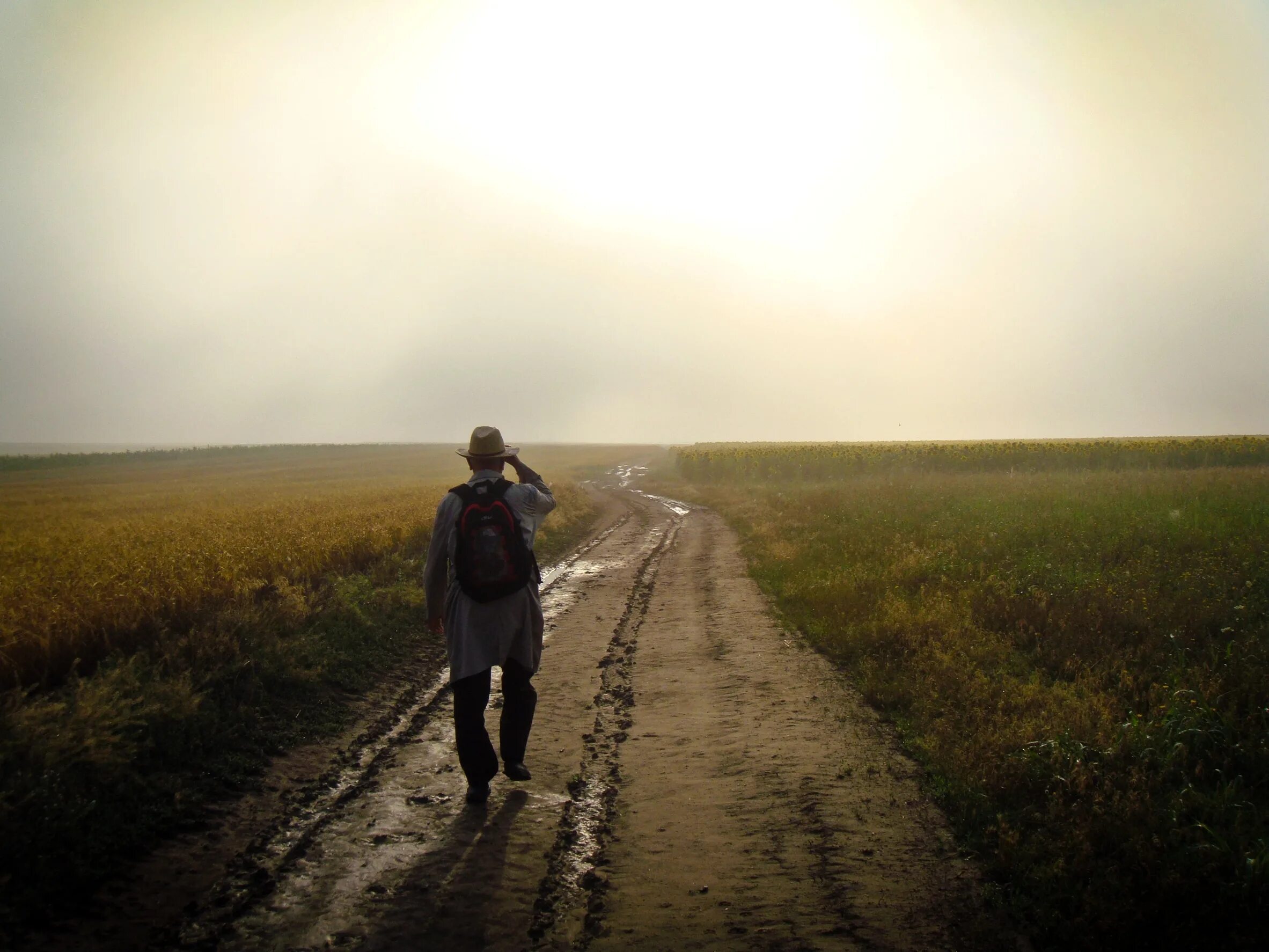 Человек идет по дороге. Странник в пути. Одинокий человек на дороге. Человек уходит.