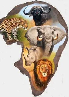 Animal 5