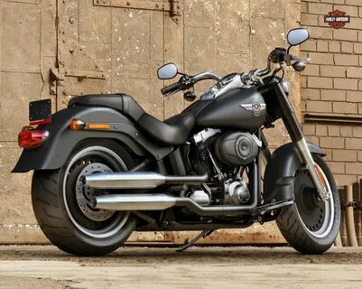 Harley davidson boy