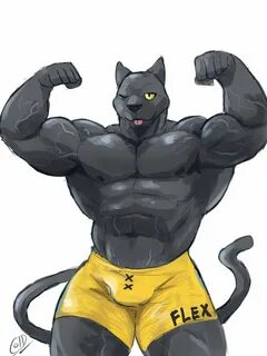 Качай кота