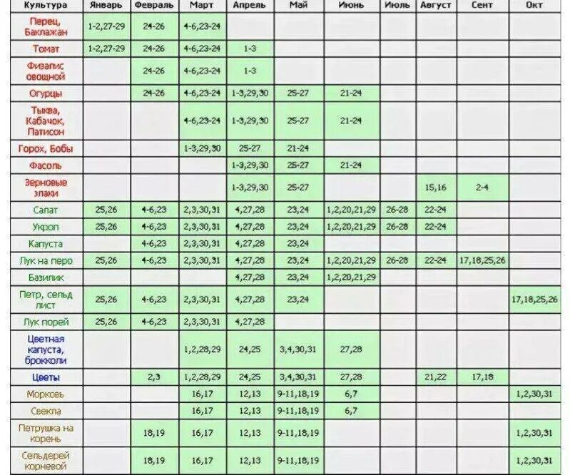 Когда сажать в март 2024 г. Таблица посева семян на рассаду в открытый грунт. Таблица посадки овощей в открытый грунт. Таблица по срокам посева семян на рассаду. Сроки посадки овощей таблица.