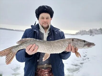 Улов архангельск