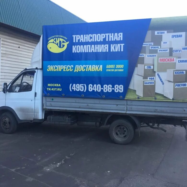 Тк кит. Надпись газель. Транспортная компания кит ижевск. Кит транспортная компания. Кит транспортная компания логотип.