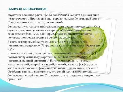 Чем полезна белокочанная капуста в сыром виде
