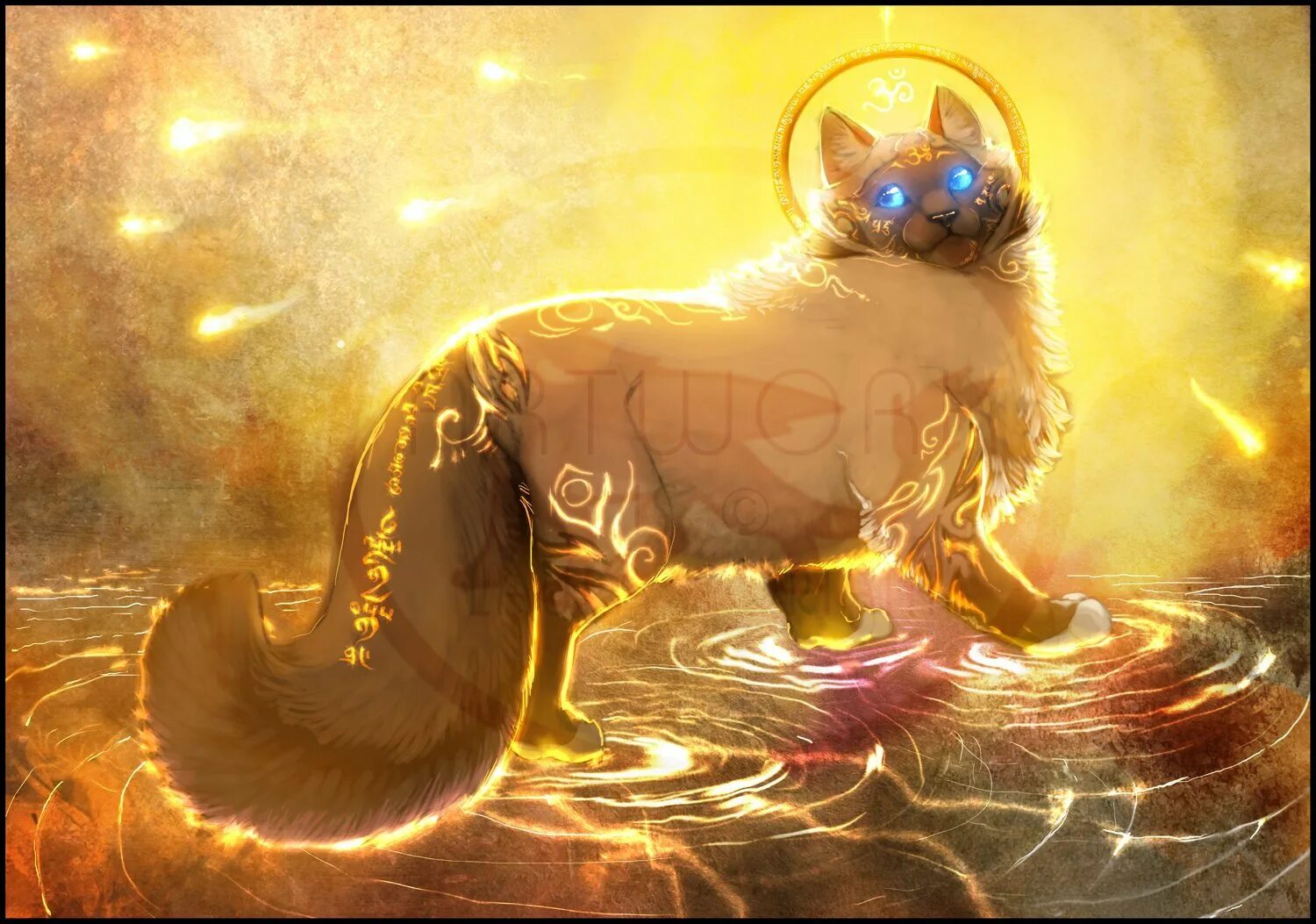 фэнтези кошки. фамильяр черный кот. огненный кот. коты воители фиолетовая звезда. фамильяр пантера.