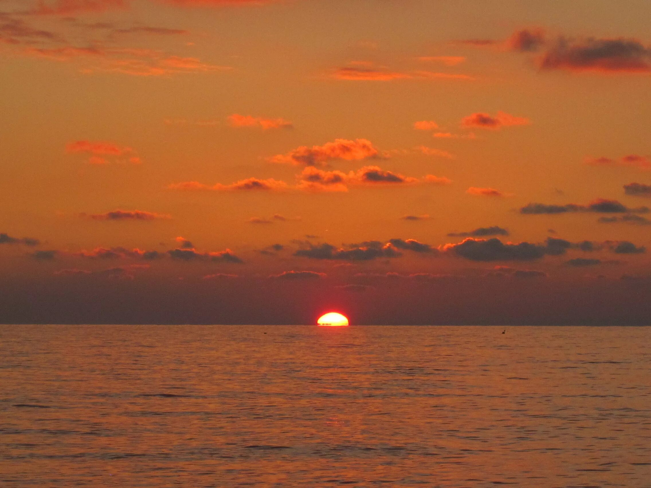 Солнце тонет в море. Закат Мальдивы вертикально. Тонущее солнце. Попрощаться с морем.