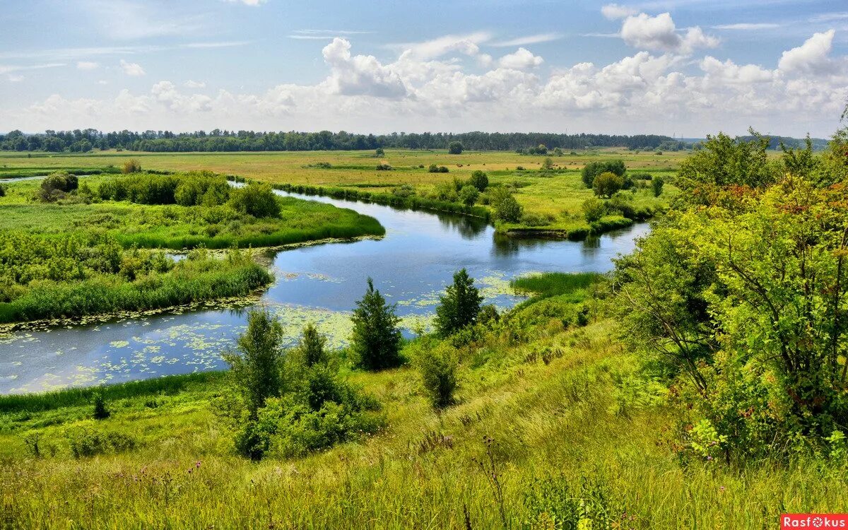 Курская область окружена. Курская область на карте. Курская область окружена. Курская область поверхность края. Курская область окружена.