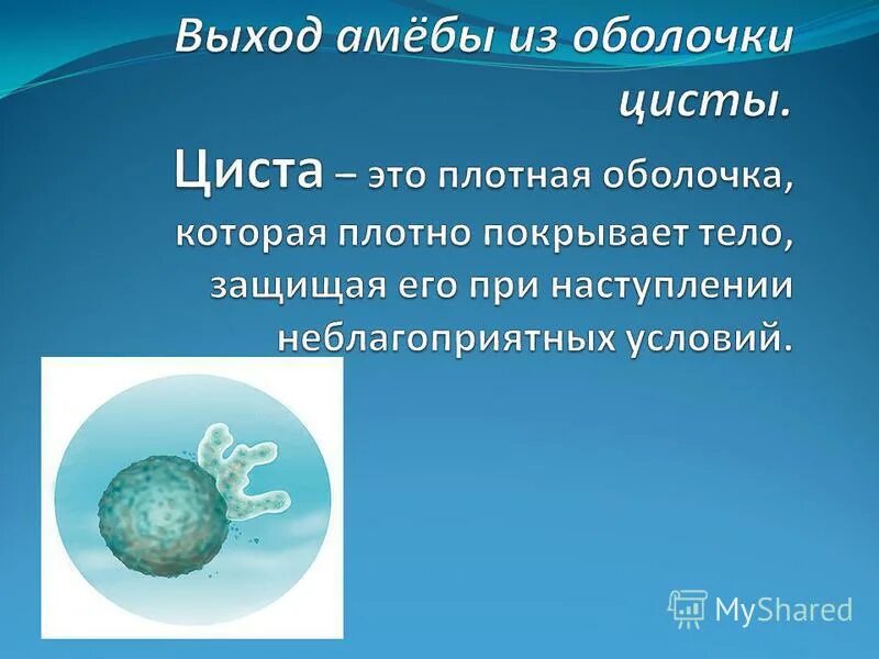Плотные оболочки