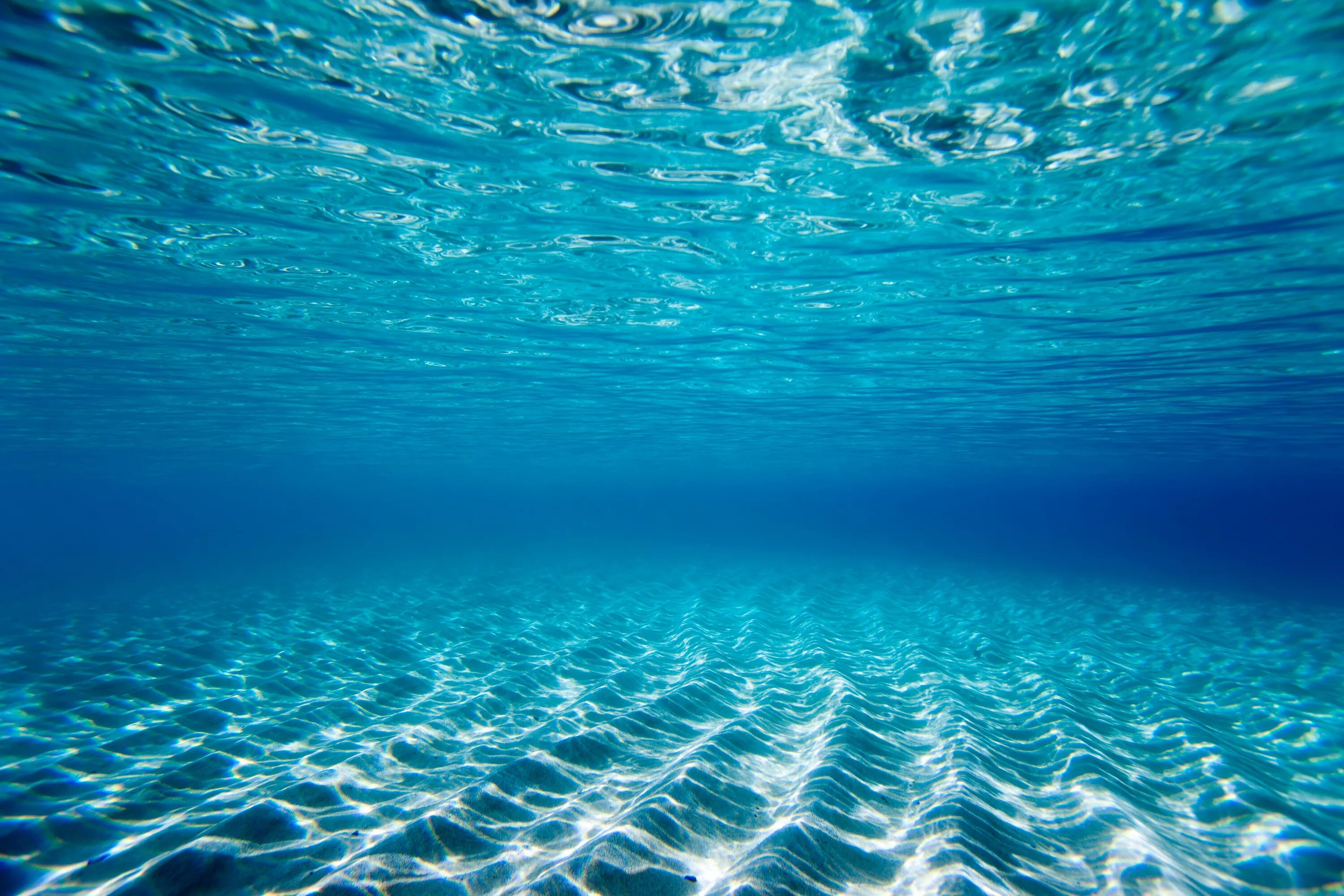 Картинки под. Океан. Океан под водой. Дно океана. Море под водой.