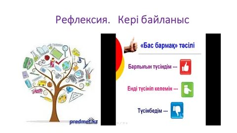 Бағадағы порно